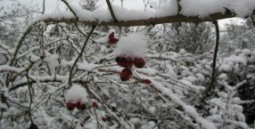 zima zima ,ach to ty :-))