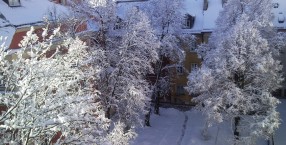 Podwórko skąpane w śniegu