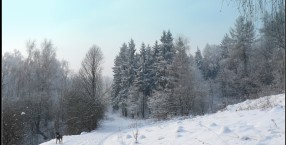 zima