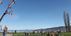 Bodensee