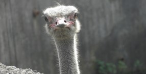 What\'s up?